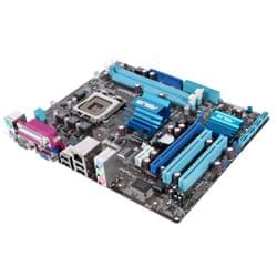 Carte Mère Asus P5G41T-M LX - G41/SK775/DDR3/PCI-E/mATX