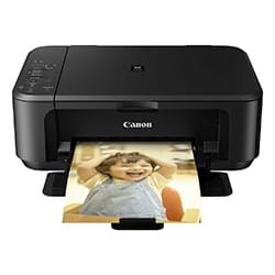 Multifonction Canon PIXMA MG2250 (Recto-Verso) 