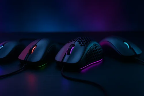 Souris Graphiste Article