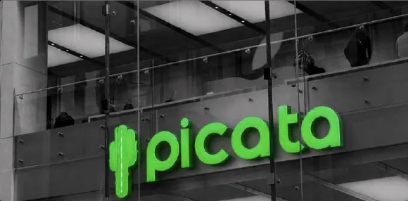 Picata, activité professionnels