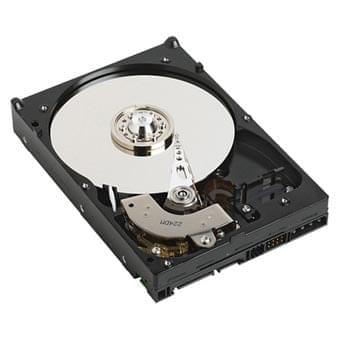 Cybertek 300Go 7200tr Serial ATA II (refurbished) - Disque dur 3.5" interne - 0