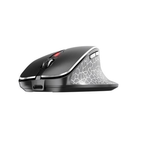 Cherry MW 8C Ergo - Souris PC Cherry - Cybertek.fr - 1