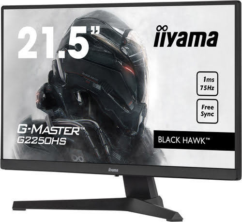 Iiyama 22"  G2250HS-B1  - Ecran PC Iiyama - Cybertek.fr - 1