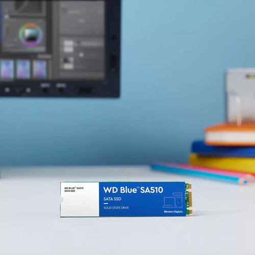 WD WDS100T3B0B  M.2 - Disque SSD WD - Cybertek.fr - 5