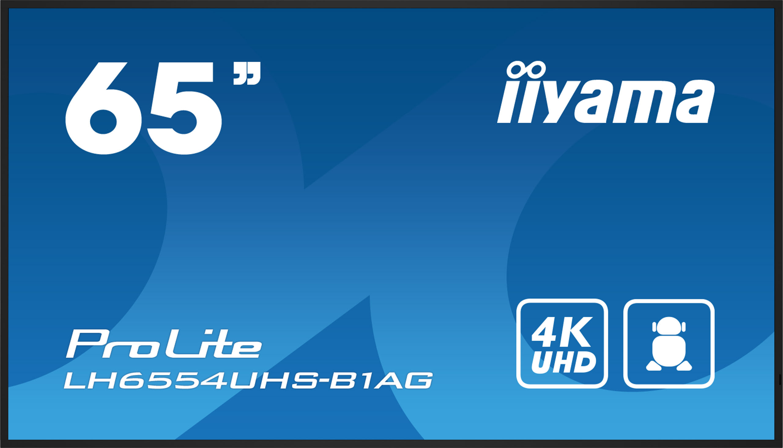 Iiyama LH6554UHS-B1AG (LH6554UHS-B1AG) - Achat / Vente Affichage dynamique sur Cybertek.fr - 0