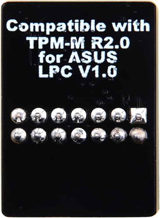 Module TPM 2.0 pour CM ASUS  - Connectique PC - Cybertek.fr - 1
