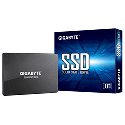 Gigabyte 1To SATA III - GP-GSTFS31100TNTD