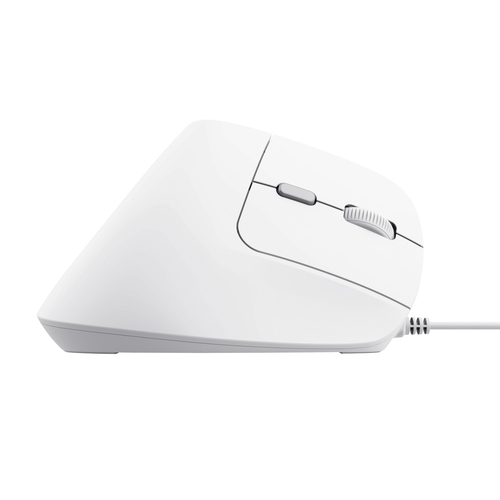 Trust Bayo II Blanche - Souris PC Trust - Cybertek.fr - 4