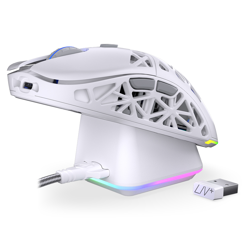 ENDORFY  LIV Plus - Souris PC ENDORFY  - Cybertek.fr - 10