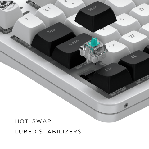 Dark Project Fuji 87 V2 - Clavier PC Dark Project - Cybertek.fr - 12