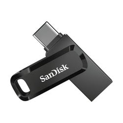 Sandisk Clé USB