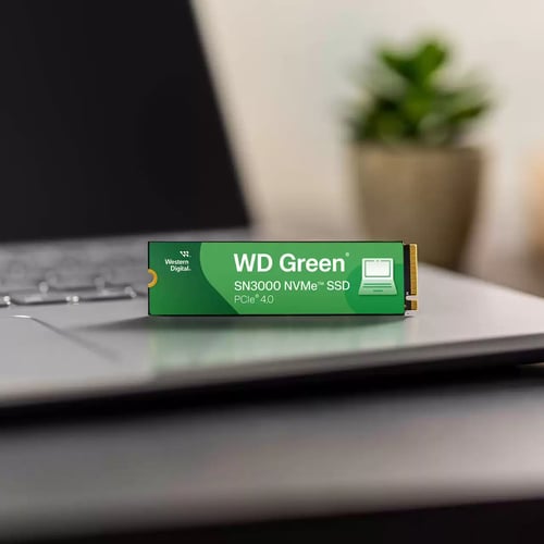 Western Digital GmbH WD Green SN3000  M.2 - Disque SSD - 4