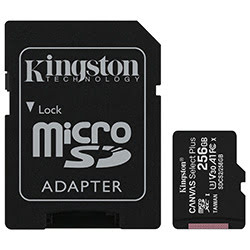 image produit Kingston Micro SDHC 256Go Class 10 + Adapt SDCS2/256GB Cybertek