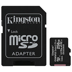 Kingston Micro SDHC 256Go Class 10 + Adapt SDCS2/256GB