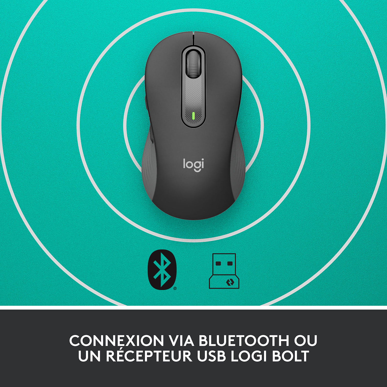 Logitech Signature M650 L Bluetooth - Souris PC Logitech - 1