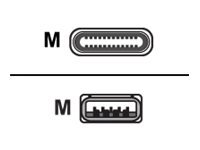 USB 3.1 Gen1 Type A vers Type-C - 3m - Connectique PC - 1