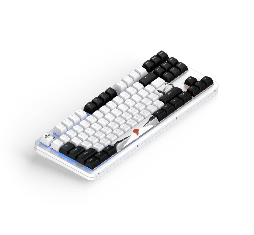 Dark Project Fuji 87 - Clavier PC Dark Project - Cybertek.fr - 2