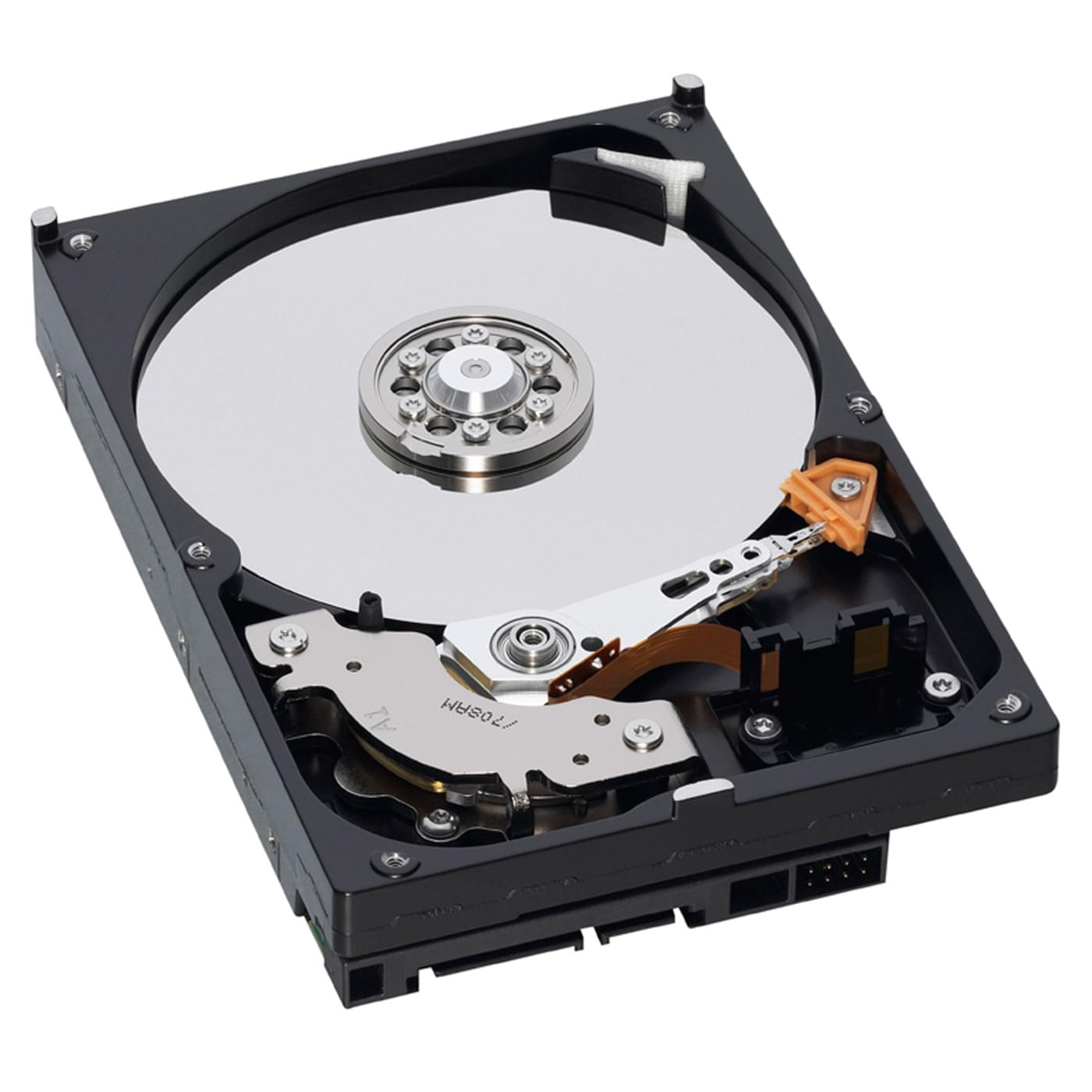 WD 320Go 7200tr 8Mo SATA II WD3200AVJS - Disque dur 3.5" interne - 0