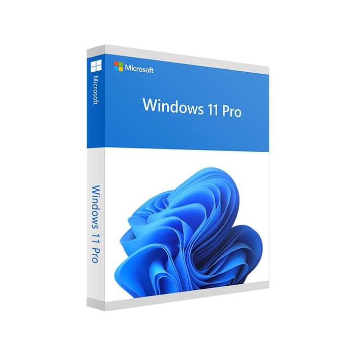 Intégration logicielle Microsoft Windows 11 PRO (OEM Activation FQC-10428)