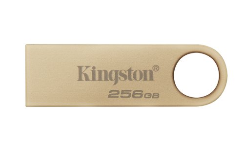 Kingston 256Go USB 3.2 Datatraveler DTSE9G3/256Go - Clé USB - 0