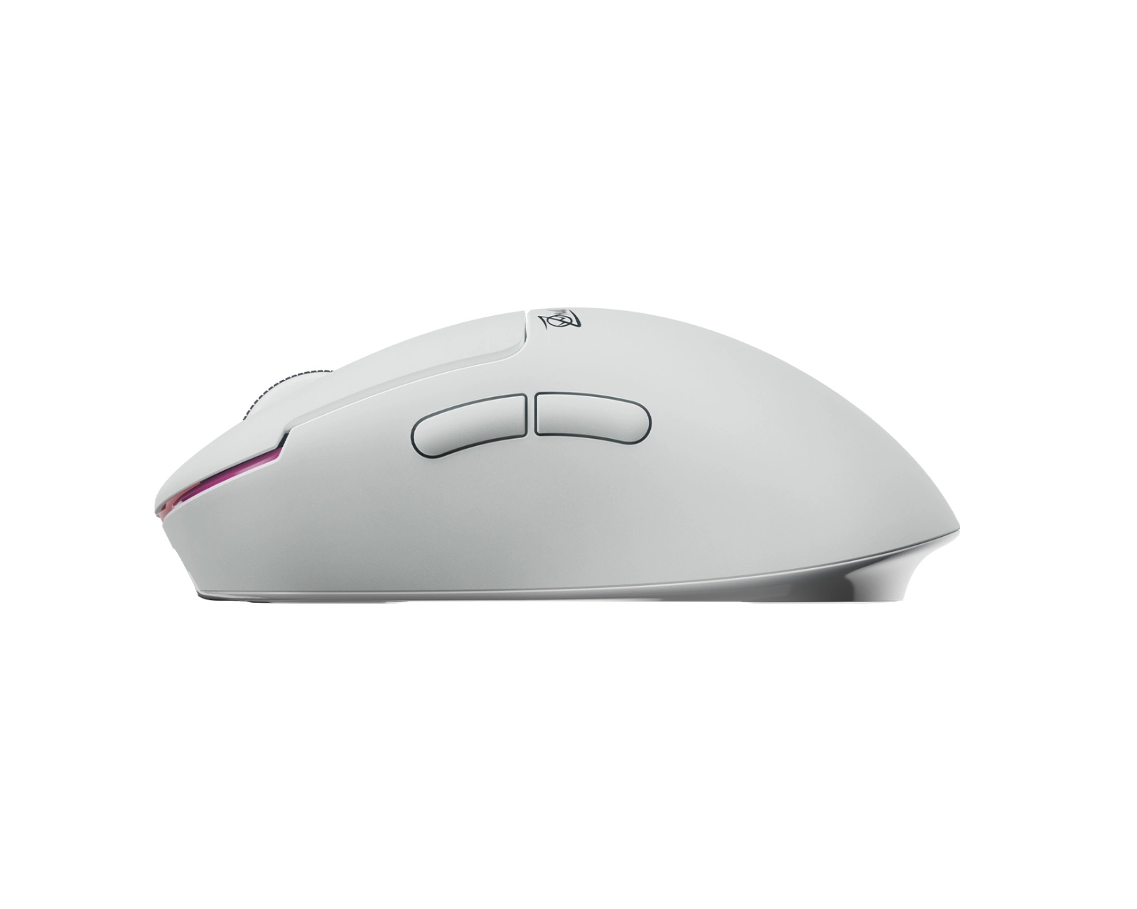 Pulsar ZywOo the Chosen - Souris PC Pulsar - Cybertek.fr - 1