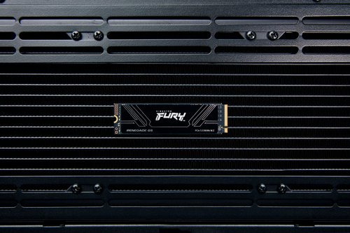 Kingston Fury Renegade G5  M.2 - Disque SSD Kingston - Cybertek.fr - 3