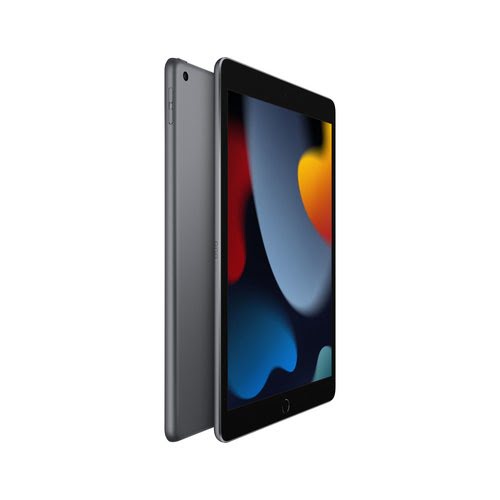 Tablette tactile Apple iPad (2021) WiFi 64Go Gris Sidéral - MK2K3NF/A 