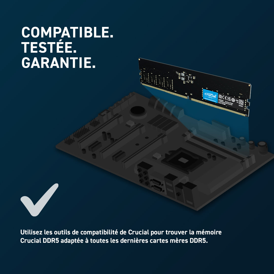 Crucial 8Go (1x8Go) DDR5 4800MHz OEM - Mémoire PC Crucial sur Cybertek.fr - 3