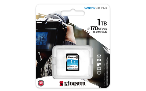 Kingston Micro SDXC 1To Class 10 - - Carte mémoire Kingston - 2