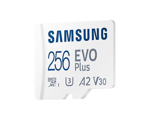 Samsung EVO Plus - Micro SD 256Go V30 - Carte mémoire Samsung - 1