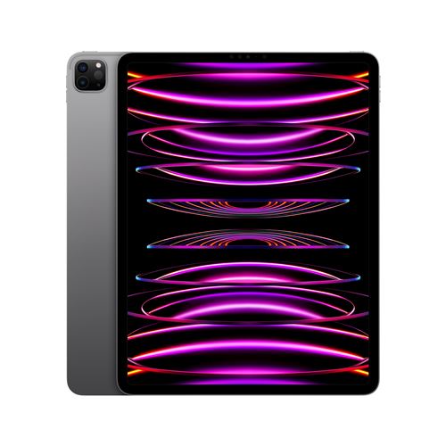 Apple iPad Pro 12.9 Wi-Fi 256GB Gris Sidral - image 1