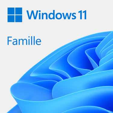 image produit Microsoft Windows 11 Home 64Bits COEM Cybertek