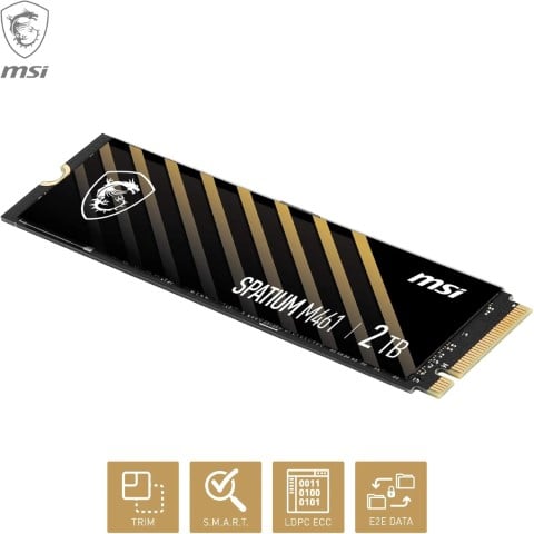 MSI S78-440L1D0-P83 M461 2TB GEN4 NVMe   - Disque SSD MSI - 5