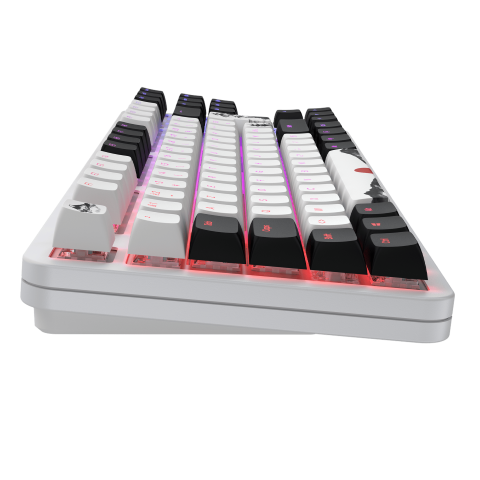 Dark Project Fuji 87 V2 - Clavier PC Dark Project - Cybertek.fr - 10