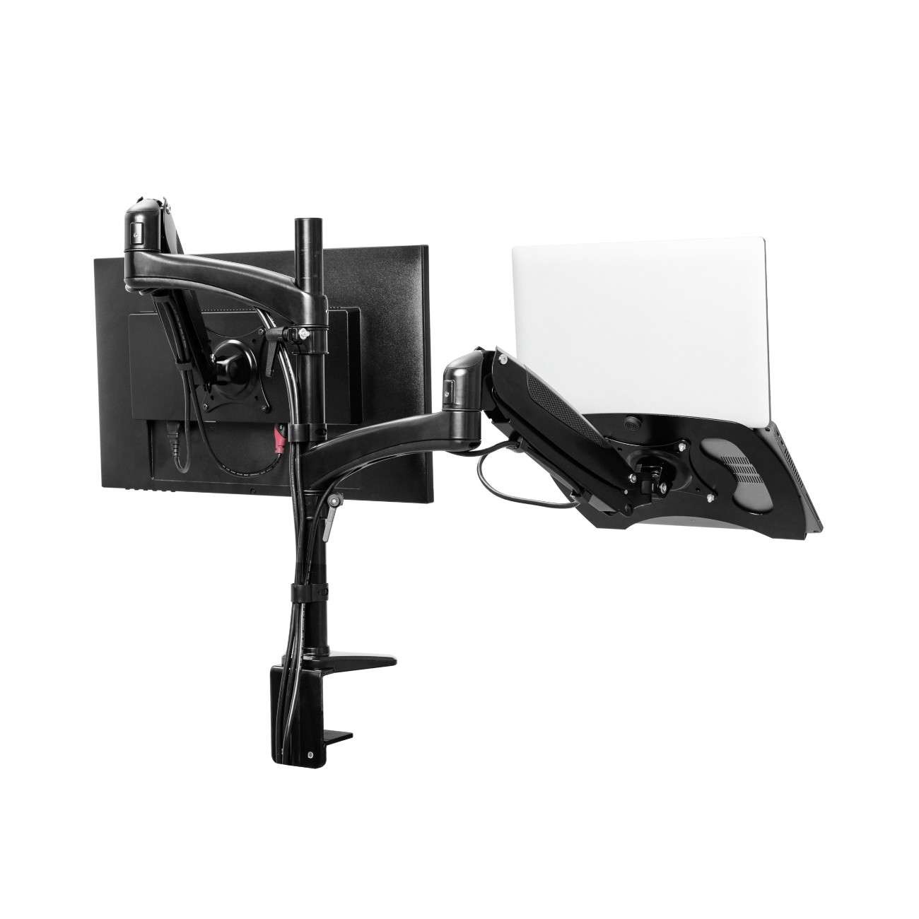 Double bras MARA pour écran et ordinateur portable# - Accessoire écran - 2