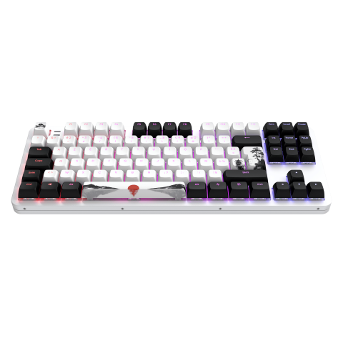 Dark Project Fuji 87 V2 - Clavier PC Dark Project - Cybertek.fr - 8