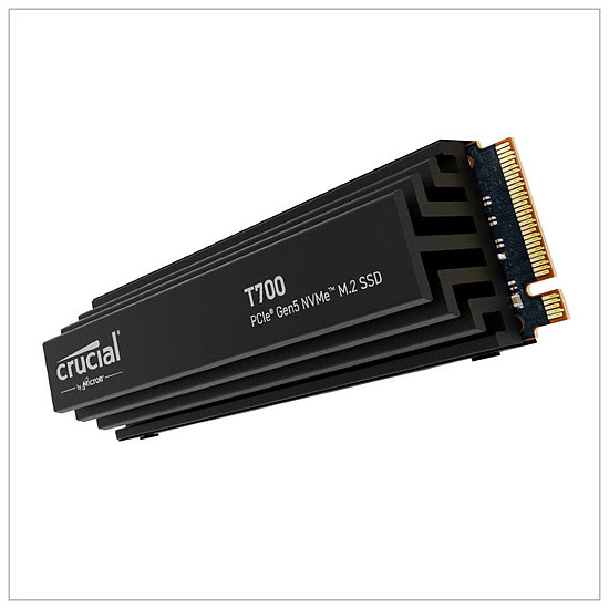 Crucial T700 rad  M.2 - Disque SSD Crucial - Cybertek.fr - 2