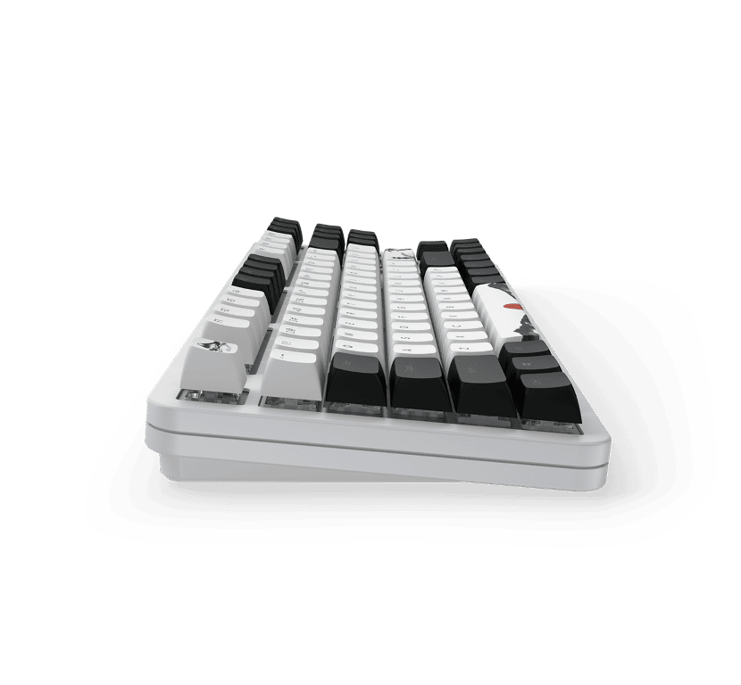 Dark Project Fuji 87 - Clavier PC Dark Project - Cybertek.fr - 6