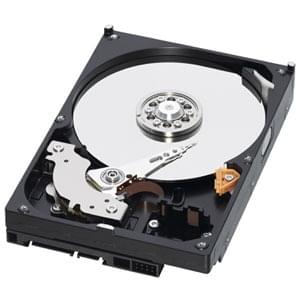 WD 1To 7200tr BLUE 64Mo SATA III WD10EZEX - Disque dur 3.5" interne - 0