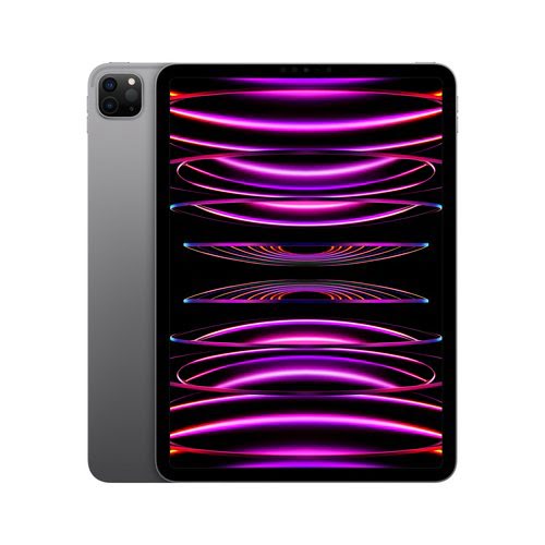 Apple iPad Pro (2022) 11 pouces 256 Go Wi-Fi Gris Sidral - image 2