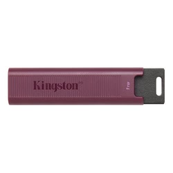 Kingston Clé USB