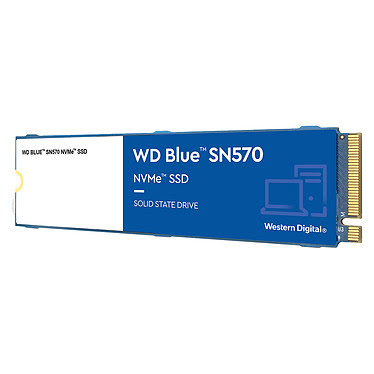 WD WDS100T3B0C -Seconde Vie-Très Bon Etat  M.2 - Disque SSD WD - 0