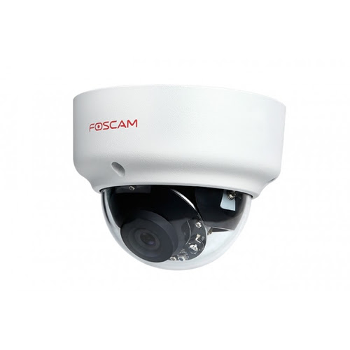 Foscam D2EP - Dome/Extérieur/POE/Blanc (D2EP) - Achat / Vente Caméra réseau sur Cybertek.fr - 2