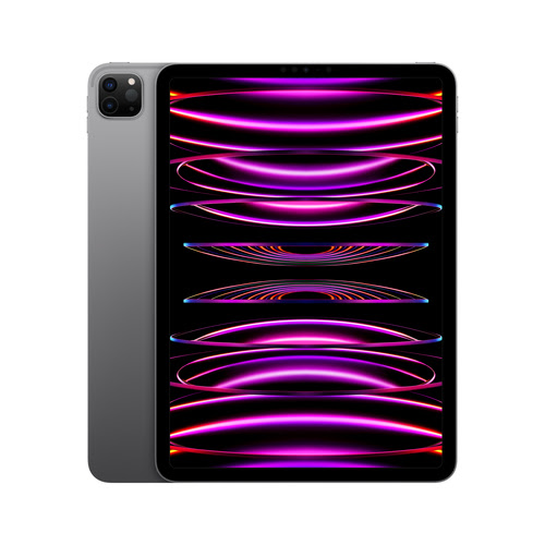 Apple iPad Pro (2022) 11" 128Go Wi-Fi Gris Sidéral - 0