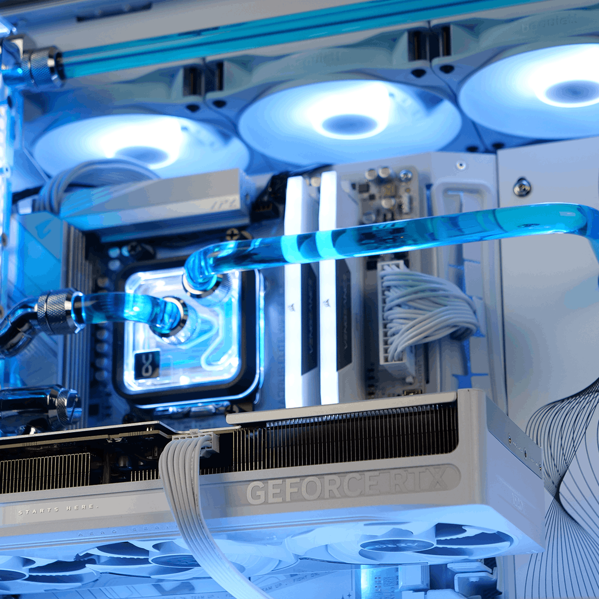 PC Gamer PARTICULE