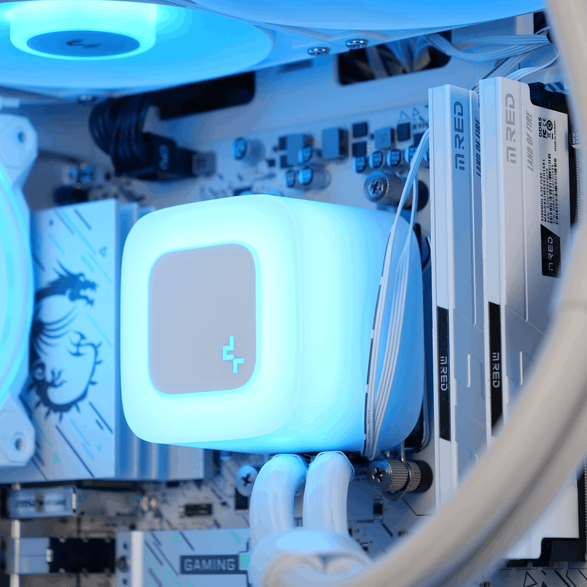 PC Gamer SNOW