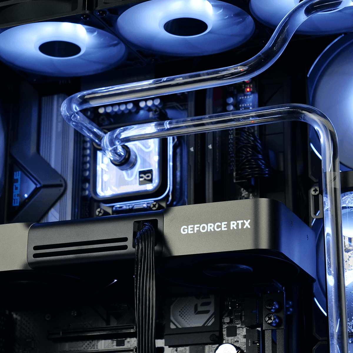 PC Gamer DUDE