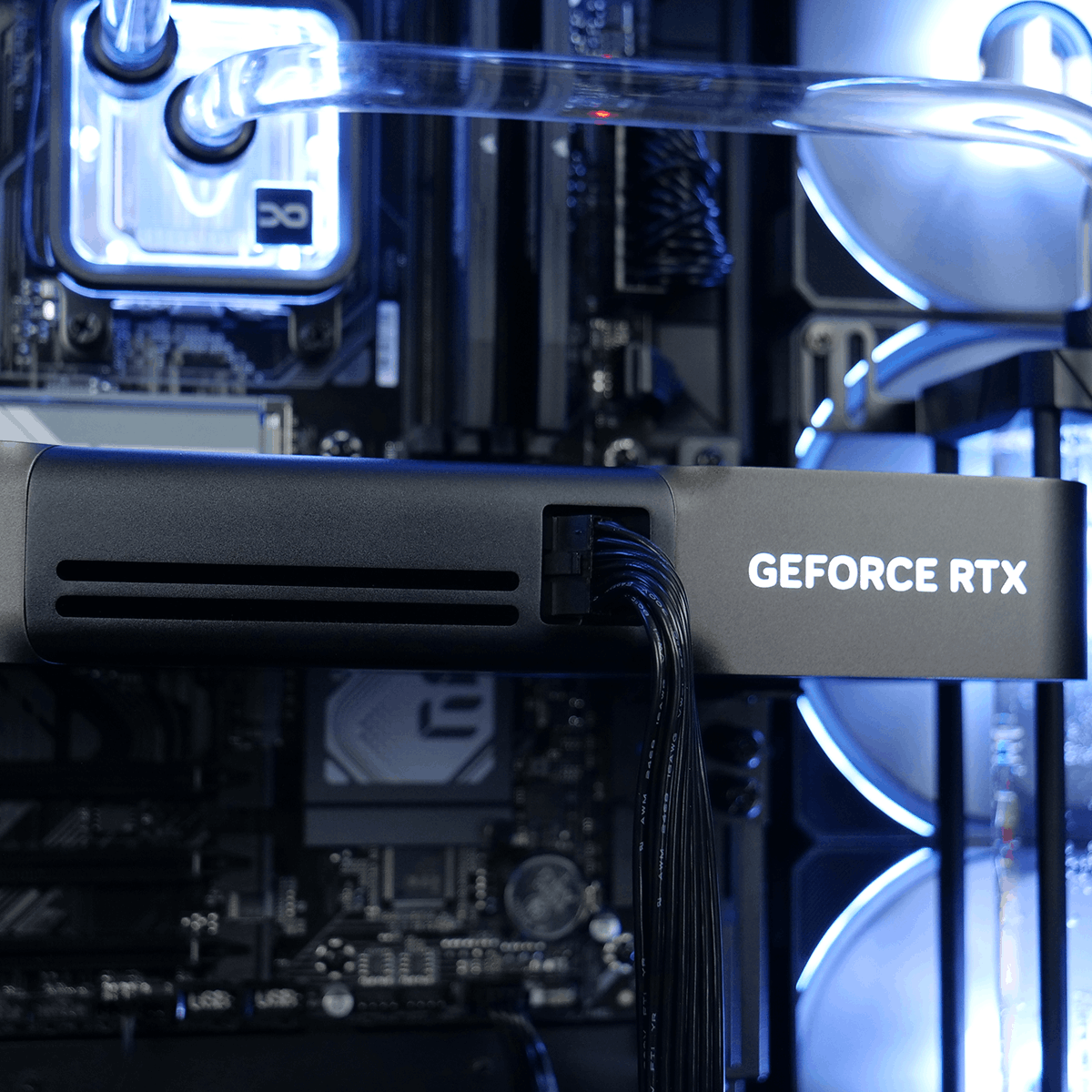 PC Gamer DUDE