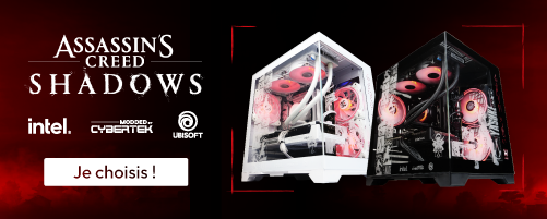 AC Shadows Intel