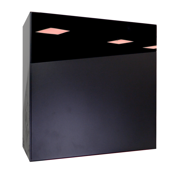 PC Gamer serigraphié The Thaumaturge